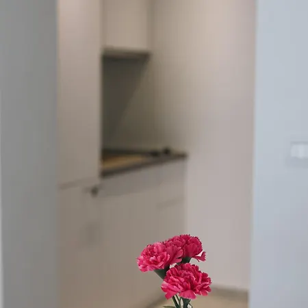 Apartment Katarina Makarska
